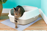a tabby cat gets out of a litter box that sits on top of a surface protection pad