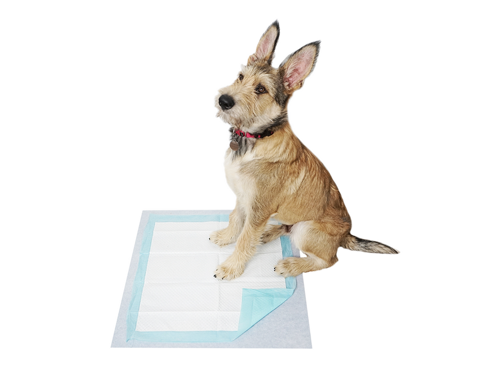 
            
                Load image into Gallery viewer, katch pet 18&amp;quot; potty pad liner 
            
        